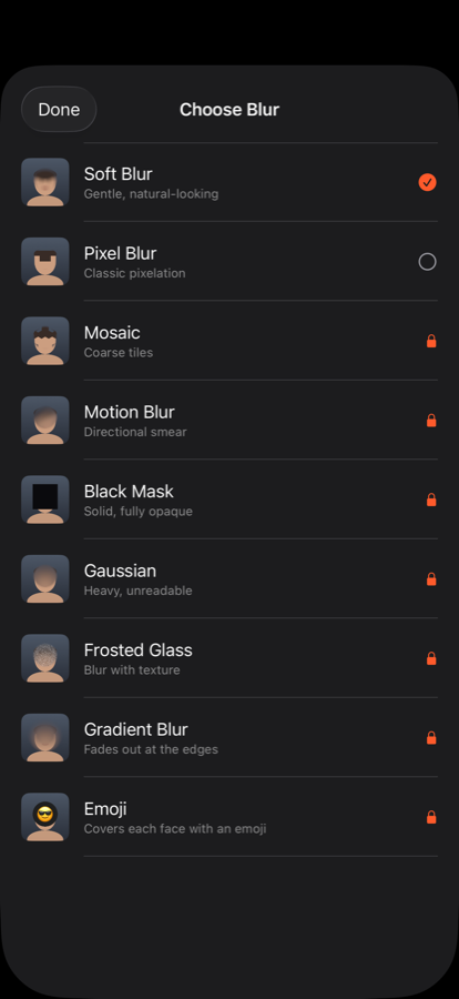 The Choose Blur screen listing nine blur styles: Soft Blur, Pixel Blur, Mosaic, Motion Blur, Black Mask, Gaussian, Frosted Glass, Gradient Blur and Emoji